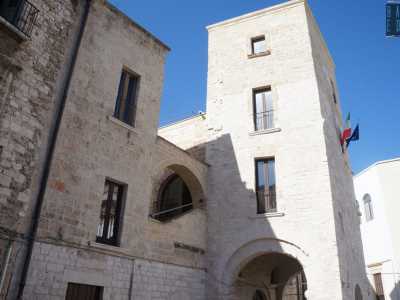 Alte non pi� di 16 metri, tali strutture ospitavano famiglie nobili o ricchi mercanti unendo gli elementi tipici di una dimora a quelli prettamente difensivi. Erano poi circondate da una serie di strutture funzionali, tra cui alloggi per la servit�, magazzini e stalle